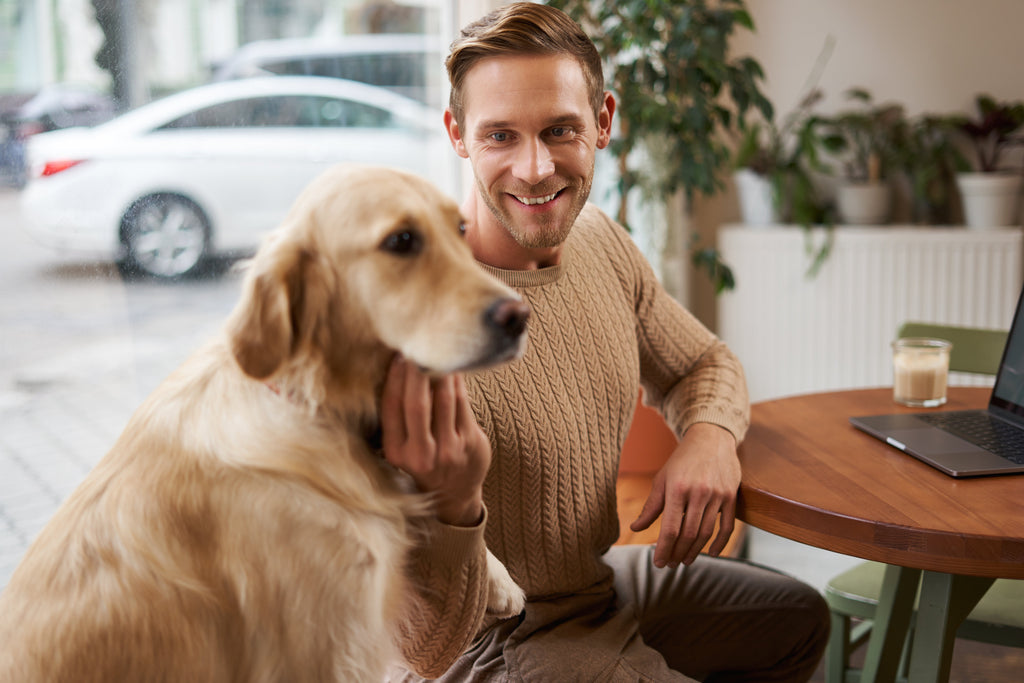 5 Restaurantes Pet Friendly en Bogotá para Disfrutar con tu Mascota