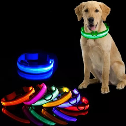 Collar LED para Perros - Paseos Nocturnos