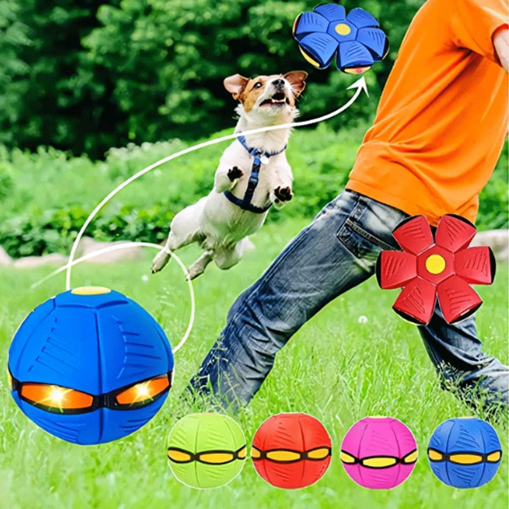 Phlat Ball: Juguete Deportivo 2 en 1 con Luces LED para perros